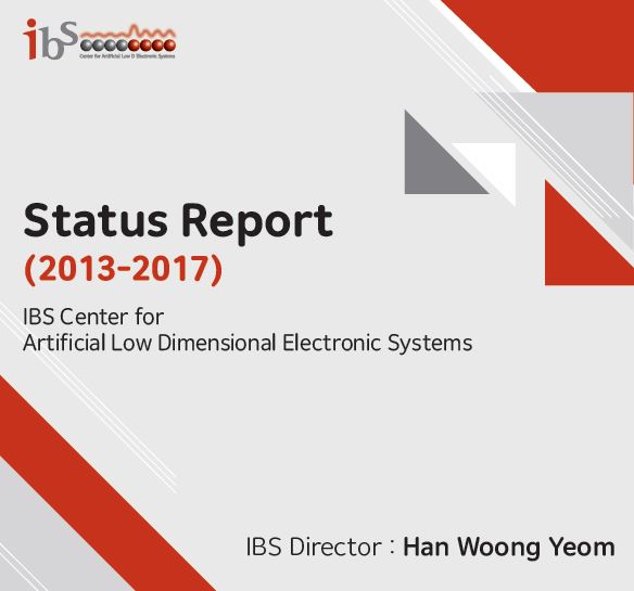 CALDES Status Report 2013-2017 사진