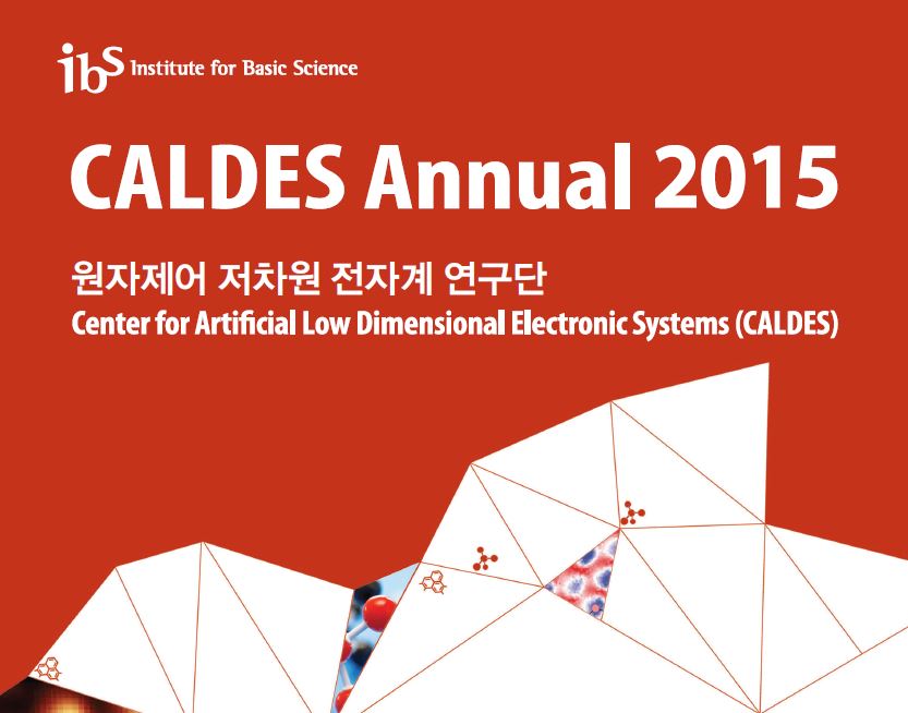CALDES Annual 2015 사진